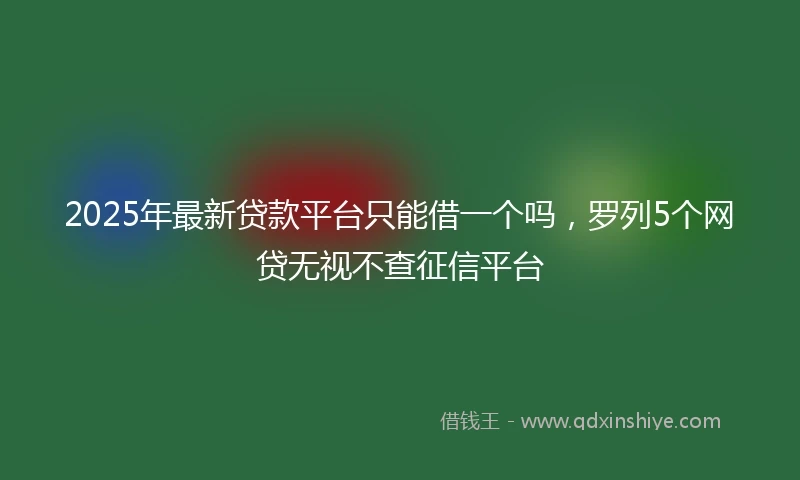2025年最新贷款平台只能借一个吗，罗列5个网贷无视不查征信平台