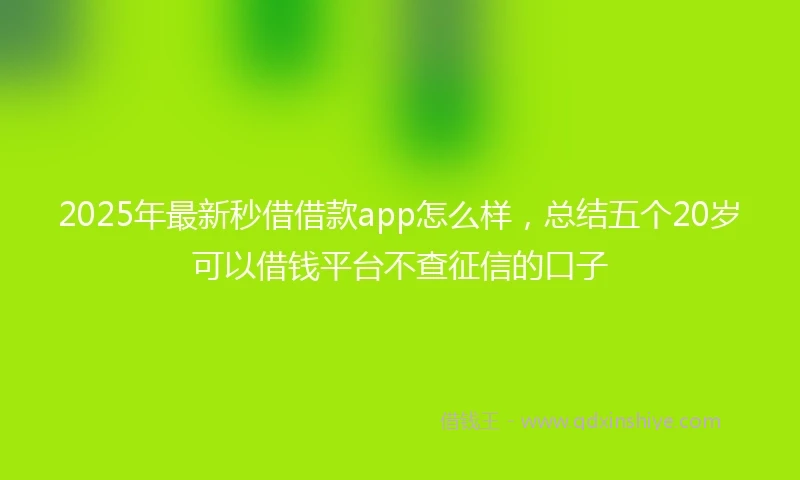 2025年最新秒借借款app怎么样，总结五个20岁可以借钱平台不查征信的口子