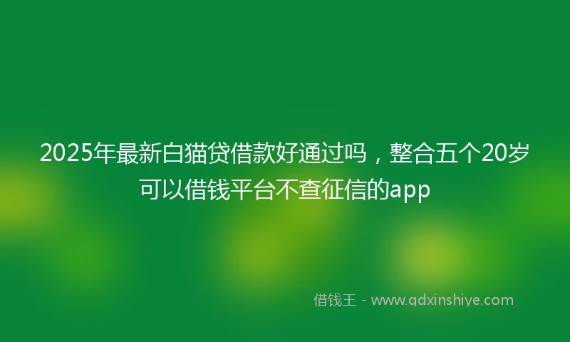 2025年最新白猫贷借款好通过吗，整合五个20岁可以借钱平台不查征信的app