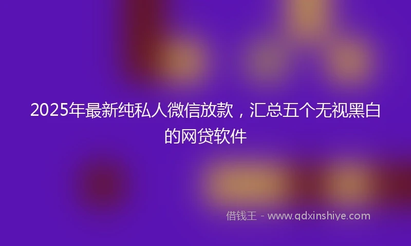2025年最新纯私人微信放款，汇总五个无视黑白的网贷软件