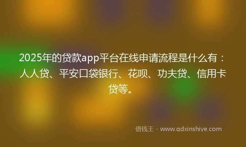2025年的贷款app平台在线申请流程是什么有：人人贷、平安口袋银行、花呗、功夫贷、信用卡贷等。