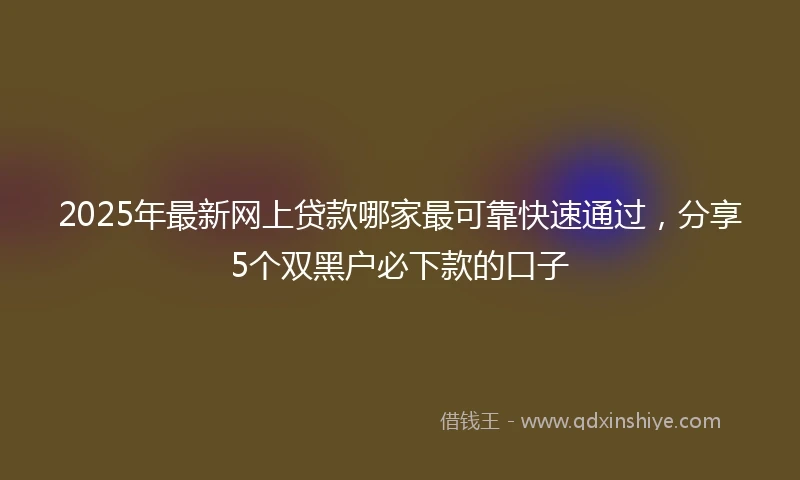2025年最新网上贷款哪家最可靠快速通过，分享5个双黑户必下款的口子