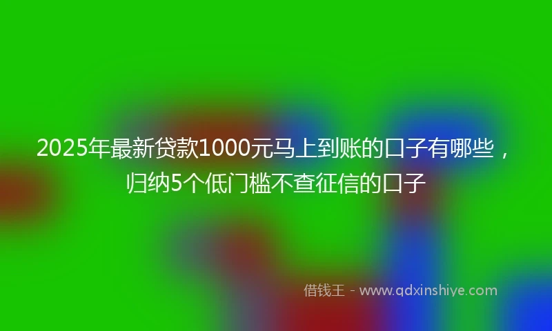 2025年最新贷款1000元马上到账的口子有哪些，归纳5个低门槛不查征信的口子