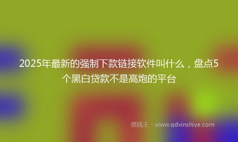 2025年最新的强制下款链接软件叫什么，盘点5个黑白贷款不是高炮的平台