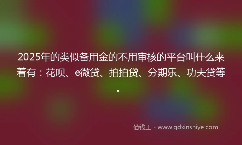 2025年的类似备用金的不用审核的平台叫什么来着有：花呗、e微贷、拍拍贷、分期乐、功夫贷等。