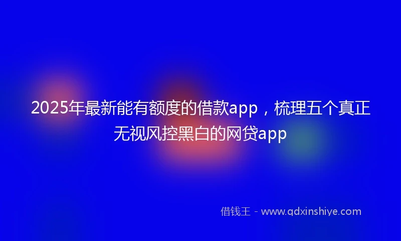 2025年最新能有额度的借款app，梳理五个真正无视风控黑白的网贷app