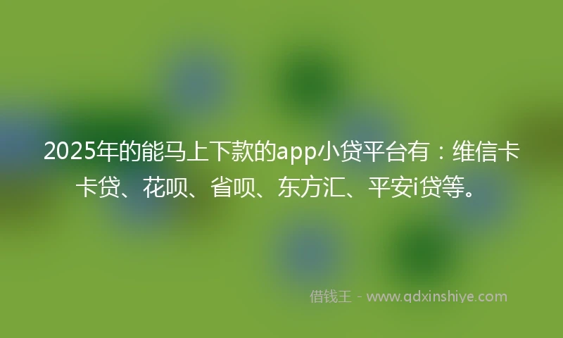 2025年的能马上下款的app小贷平台有：维信卡卡贷、花呗、省呗、东方汇、平安i贷等。