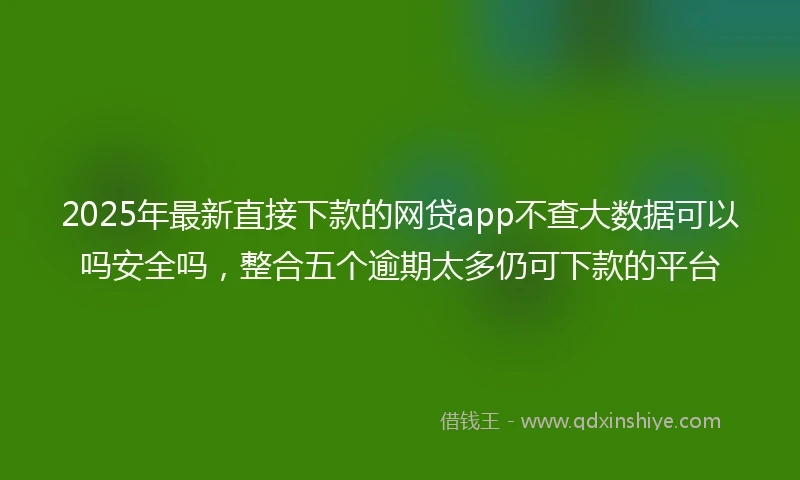 2025年最新直接下款的网贷app不查大数据可以吗安全吗，整合五个逾期太多仍可下款的平台