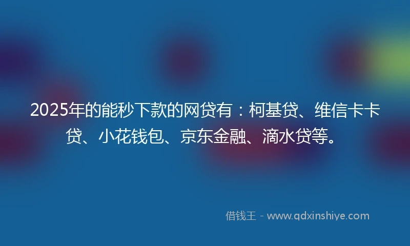 2025年的能秒下款的网贷有：柯基贷、维信卡卡贷、小花钱包、京东金融、滴水贷等。
