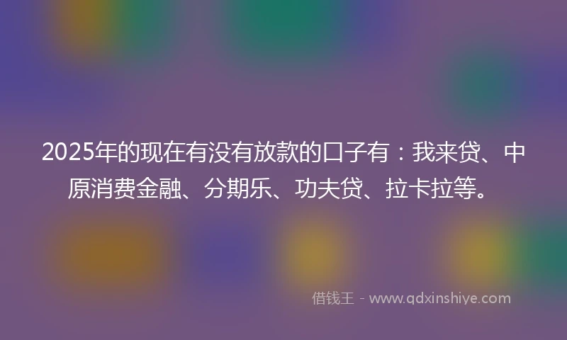 2025年的现在有没有放款的口子有：我来贷、中原消费金融、分期乐、功夫贷、拉卡拉等。