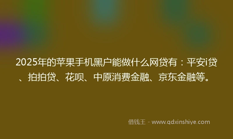 2025年的苹果手机黑户能做什么网贷有：平安i贷、拍拍贷、花呗、中原消费金融、京东金融等。