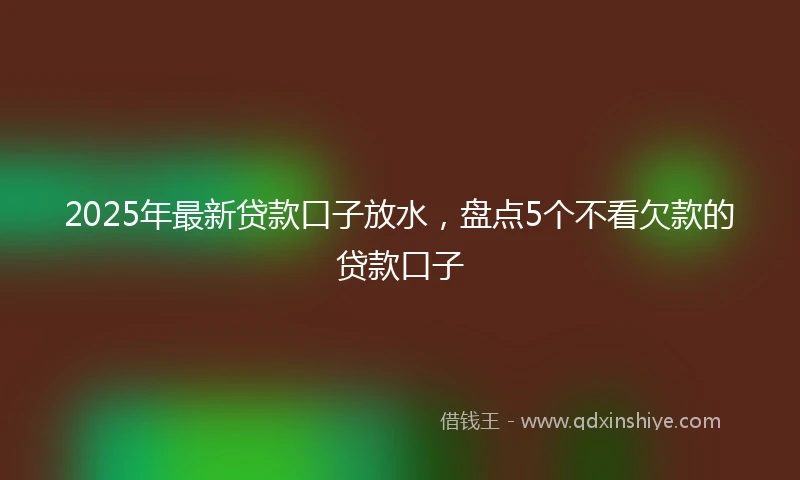 2025年最新贷款口子放水，盘点5个不看欠款的贷款口子