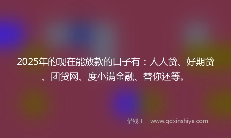 2025年的现在能放款的口子有：人人贷、好期贷、团贷网、度小满金融、替你还等。
