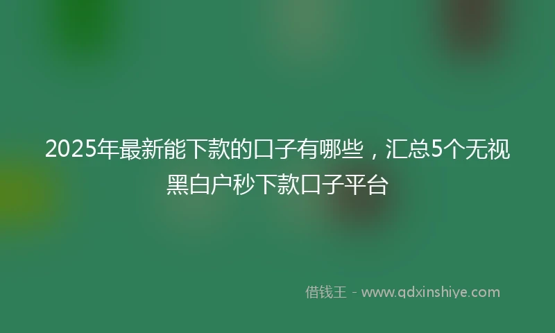 2025年最新能下款的口子有哪些，汇总5个无视黑白户秒下款口子平台