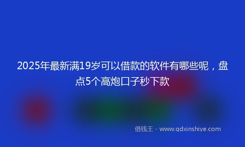 2025年最新满19岁可以借款的软件有哪些呢，盘点5个高炮口子秒下款
