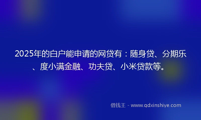 2025年的白户能申请的网贷有：随身贷、分期乐、度小满金融、功夫贷、小米贷款等。
