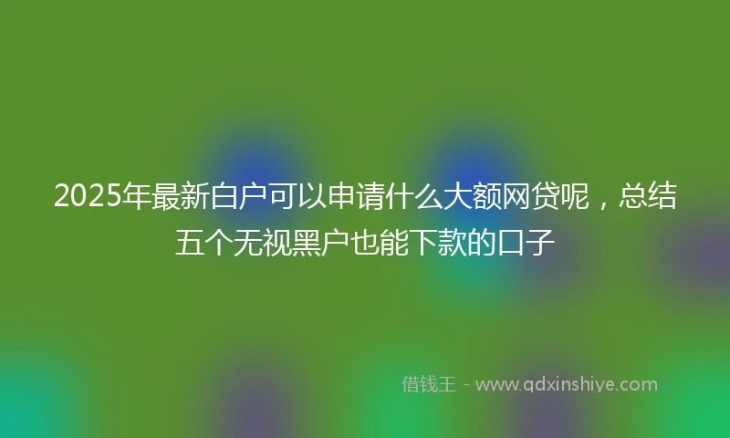 2025年最新白户可以申请什么大额网贷呢，总结五个无视黑户也能下款的口子