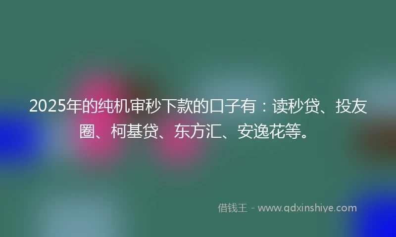 2025年的纯机审秒下款的口子有：读秒贷、投友圈、柯基贷、东方汇、安逸花等。