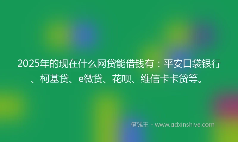 2025年的现在什么网贷能借钱有：平安口袋银行、柯基贷、e微贷、花呗、维信卡卡贷等。