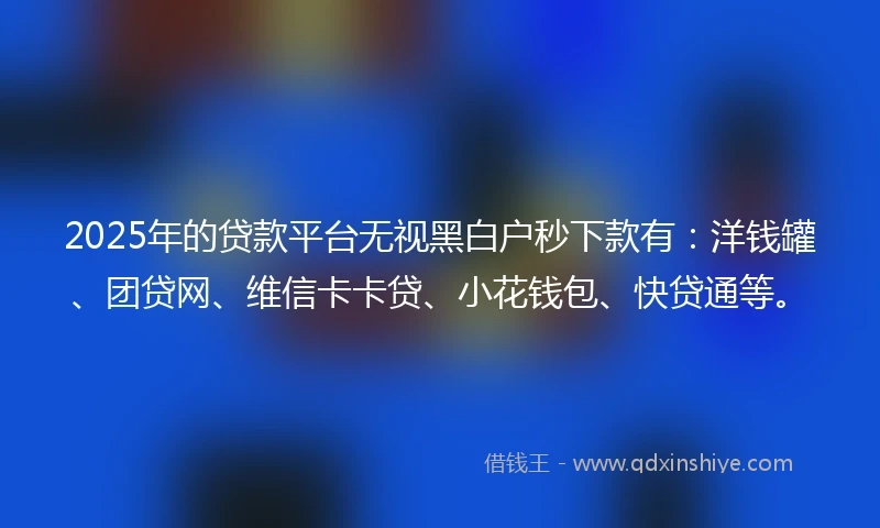 2025年的贷款平台无视黑白户秒下款有：洋钱罐、团贷网、维信卡卡贷、小花钱包、快贷通等。