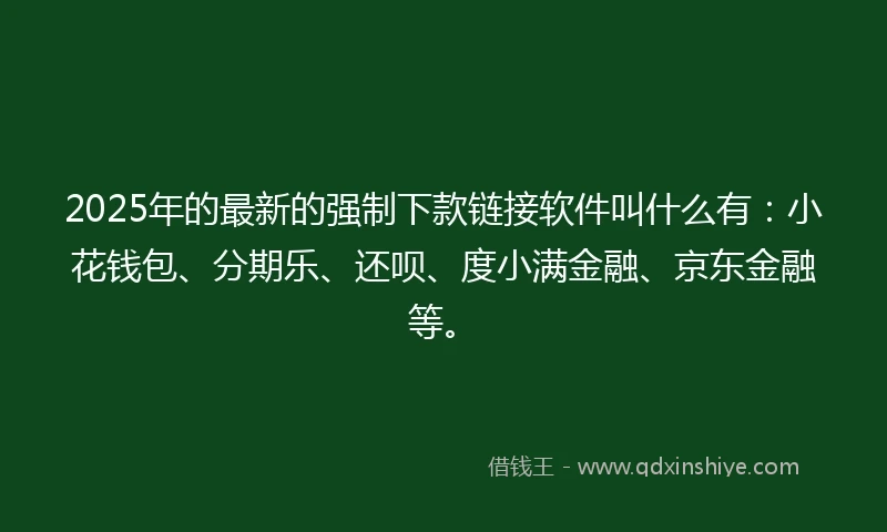 2025年的最新的强制下款链接软件叫什么有：小花钱包、分期乐、还呗、度小满金融、京东金融等。
