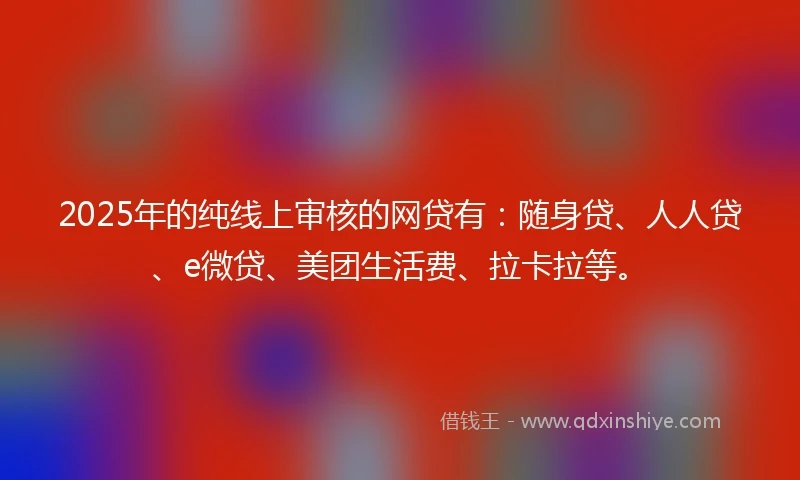 2025年的纯线上审核的网贷有：随身贷、人人贷、e微贷、美团生活费、拉卡拉等。