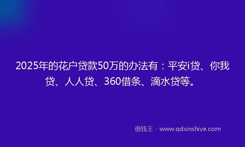 2025年的花户贷款50万的办法有：平安i贷、你我贷、人人贷、360借条、滴水贷等。