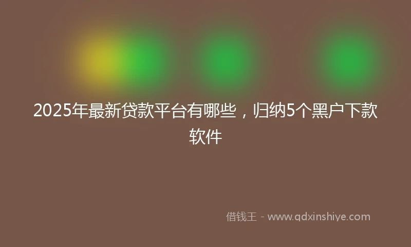 2025年最新贷款平台有哪些，归纳5个黑户下款软件