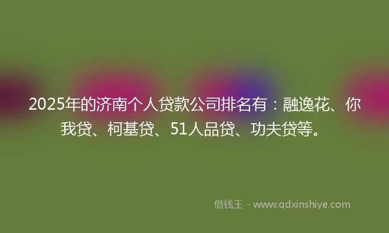 2025年的济南个人贷款公司排名有：融逸花、你我贷、柯基贷、51人品贷、功夫贷等。
