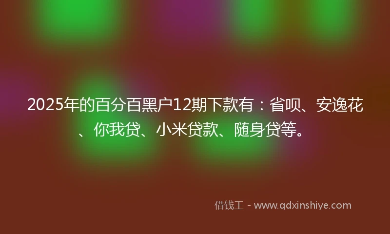 2025年的百分百黑户12期下款有：省呗、安逸花、你我贷、小米贷款、随身贷等。