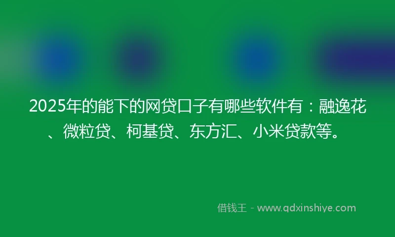 2025年的能下的网贷口子有哪些软件有：融逸花、微粒贷、柯基贷、东方汇、小米贷款等。