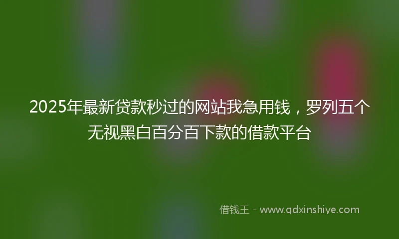 2025年最新贷款秒过的网站我急用钱，罗列五个无视黑白百分百下款的借款平台