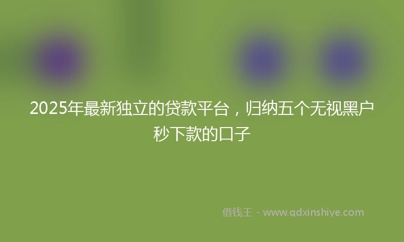 2025年最新独立的贷款平台，归纳五个无视黑户秒下款的口子