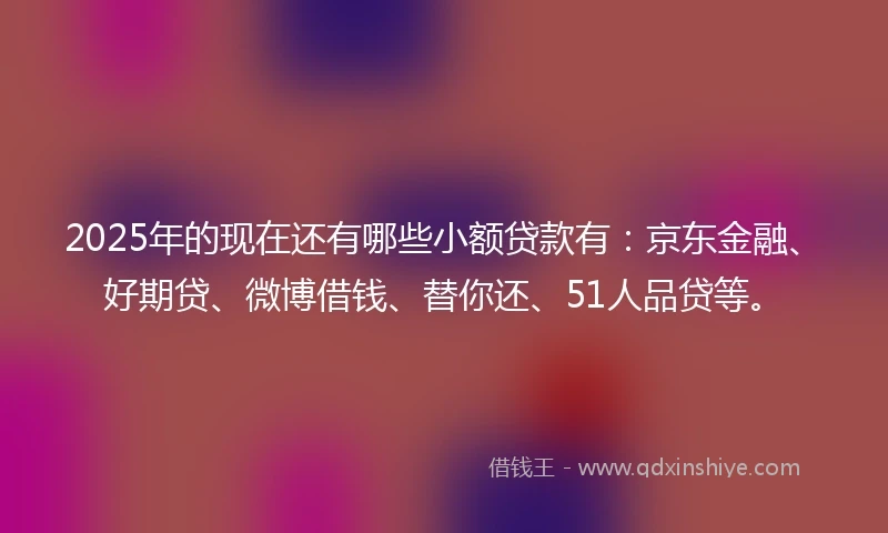 2025年的现在还有哪些小额贷款有：京东金融、好期贷、微博借钱、替你还、51人品贷等。