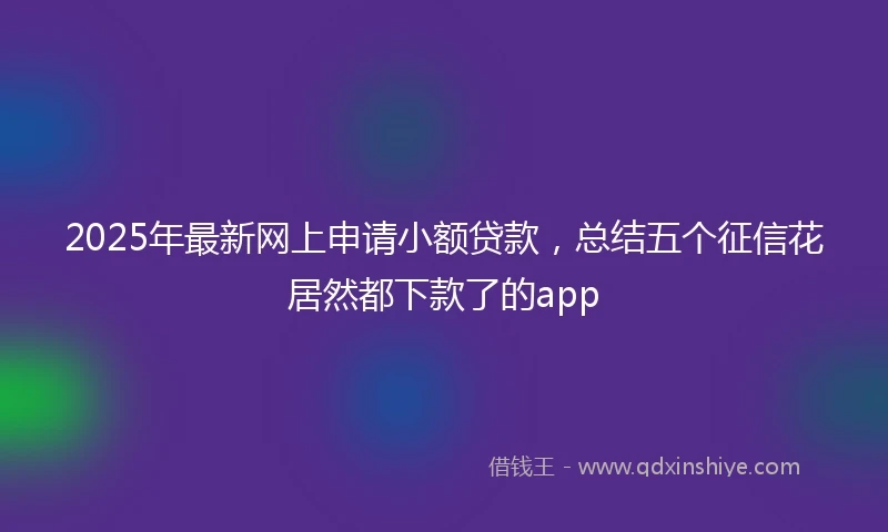 2025年最新网上申请小额贷款，总结五个征信花居然都下款了的app