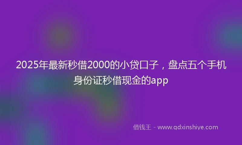 2025年最新秒借2000的小贷口子，盘点五个手机身份证秒借现金的app