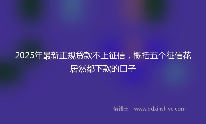 2025年最新正规贷款不上征信，概括五个征信花居然都下款的口子