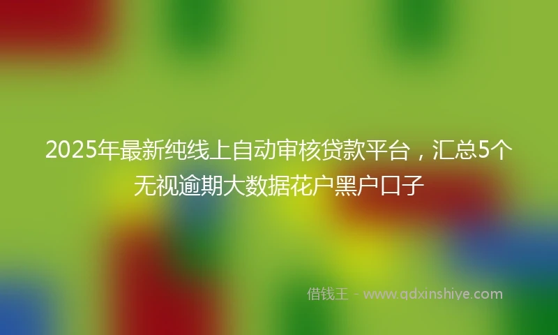2025年最新纯线上自动审核贷款平台，汇总5个无视逾期大数据花户黑户口子