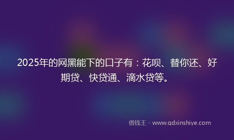 2025年的网黑能下的口子有：花呗、替你还、好期贷、快贷通、滴水贷等。