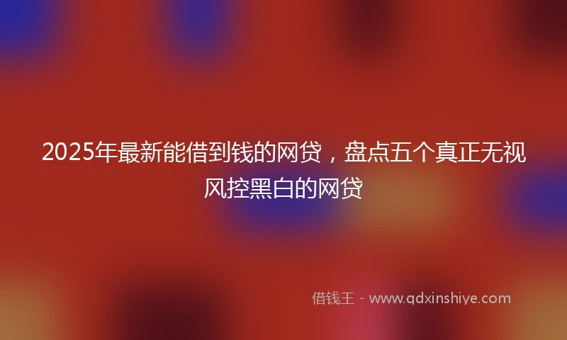 2025年最新能借到钱的网贷，盘点五个真正无视风控黑白的网贷