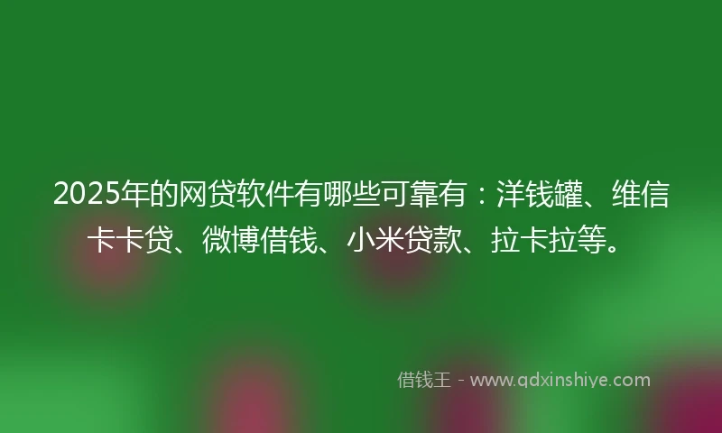 2025年的网贷软件有哪些可靠有：洋钱罐、维信卡卡贷、微博借钱、小米贷款、拉卡拉等。