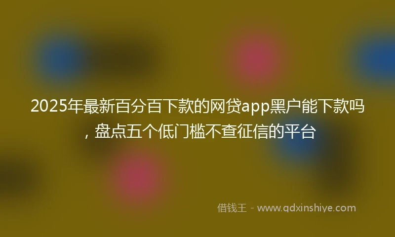 2025年最新百分百下款的网贷app黑户能下款吗，盘点五个低门槛不查征信的平台