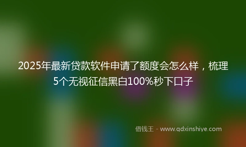 2025年最新贷款软件申请了额度会怎么样，梳理5个无视征信黑白100%秒下口子