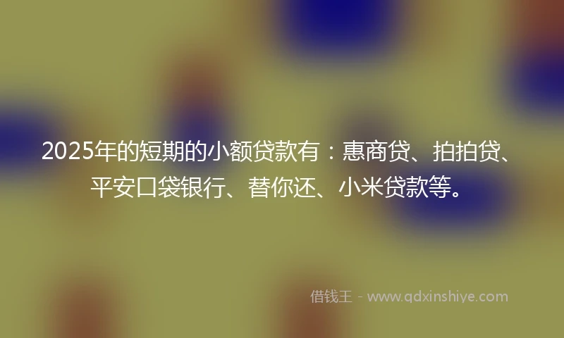 2025年的短期的小额贷款有：惠商贷、拍拍贷、平安口袋银行、替你还、小米贷款等。