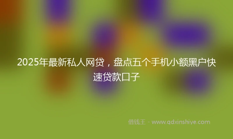 2025年最新私人网贷，盘点五个手机小额黑户快速贷款口子