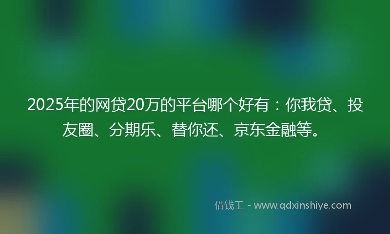 2025年的网贷20万的平台哪个好有：你我贷、投友圈、分期乐、替你还、京东金融等。
