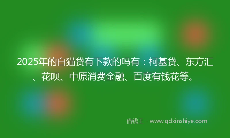2025年的白猫贷有下款的吗有：柯基贷、东方汇、花呗、中原消费金融、百度有钱花等。