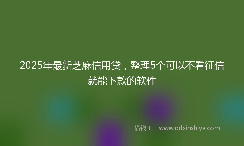 2025年最新芝麻信用贷，整理5个可以不看征信就能下款的软件
