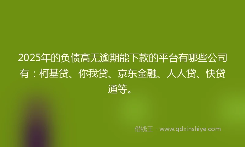 2025年的负债高无逾期能下款的平台有哪些公司有:柯基贷、你我贷、京东金融、人人贷、快贷通等。