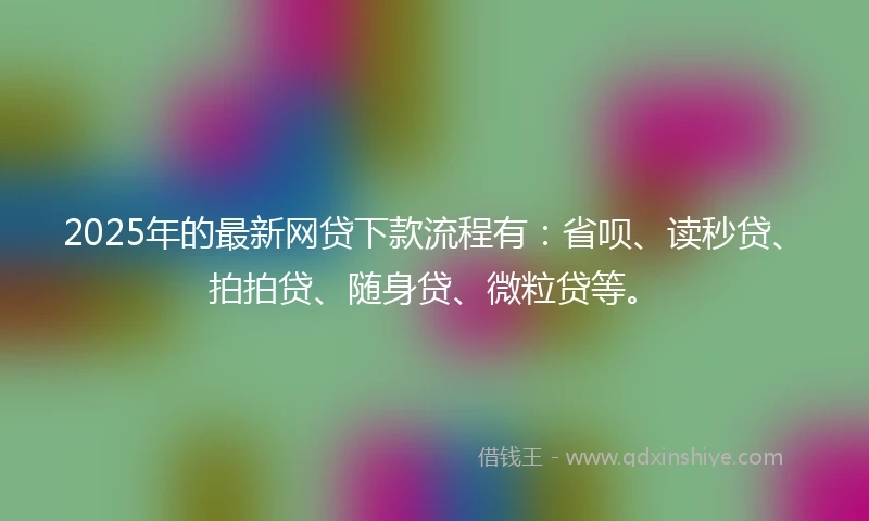 2025年的最新网贷下款流程有：省呗、读秒贷、拍拍贷、随身贷、微粒贷等。